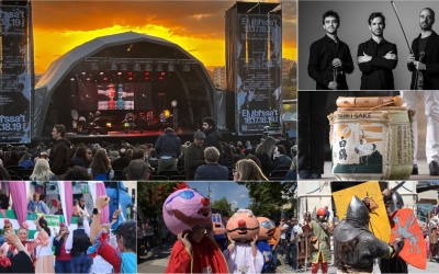 Imatges de l'Embassa't, la Romeria, la Festa Major de la Creu Alta o Medievàlia 